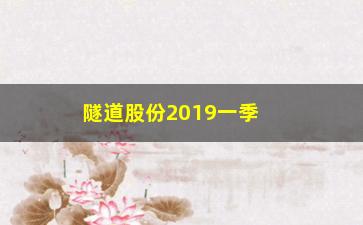 “隧道股份2019一季度年报如何